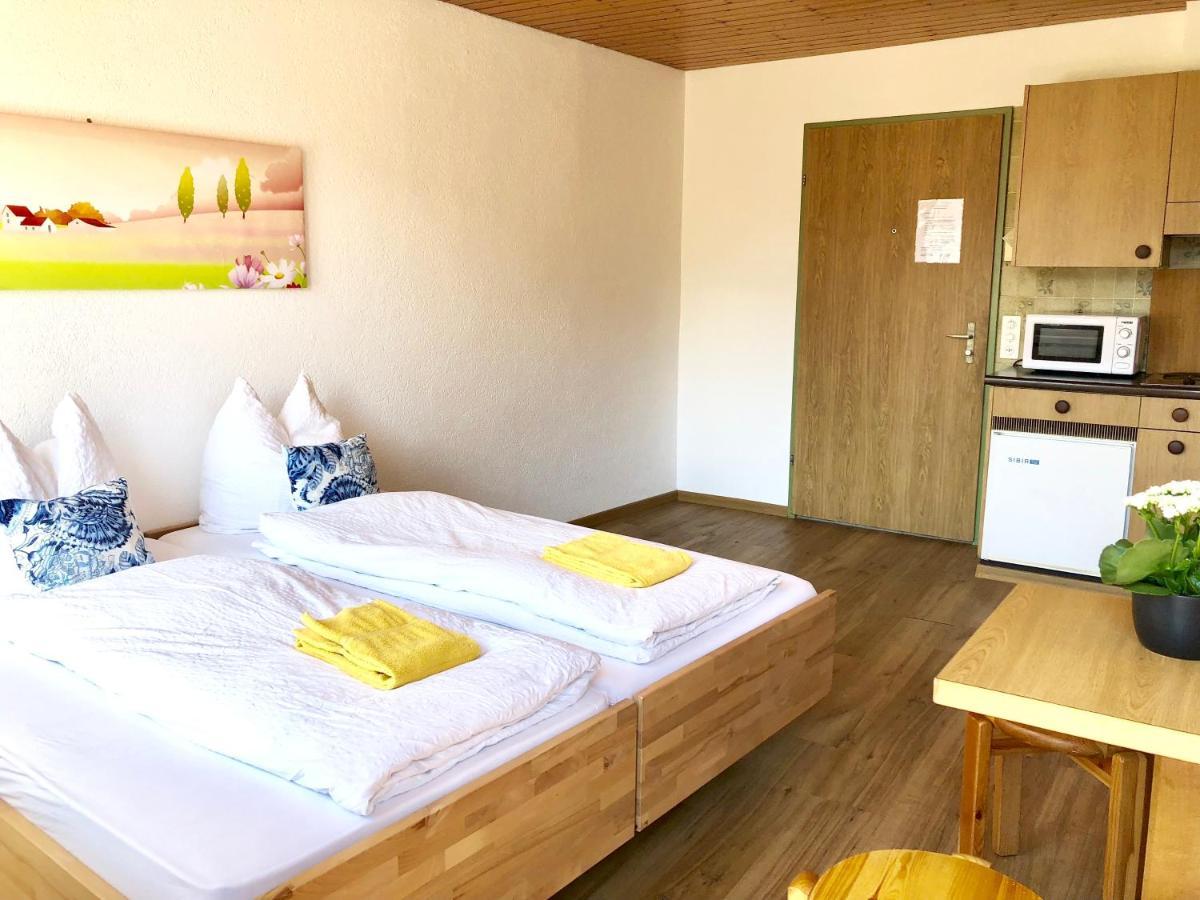 Central Beauty Scenery Apartment Interlaken Ngoại thất bức ảnh